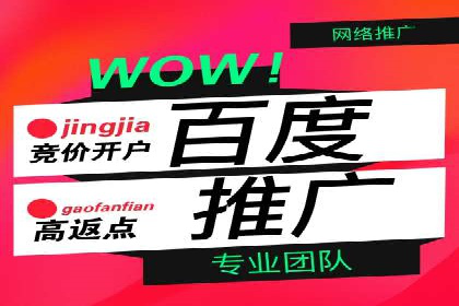 知名SEM竞价代运营公司案例剖析